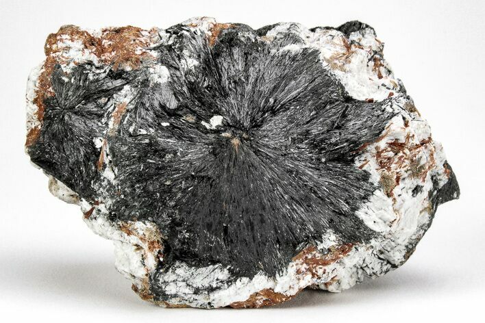 Normandite & Aegirine On Feldspar - Russia #211947